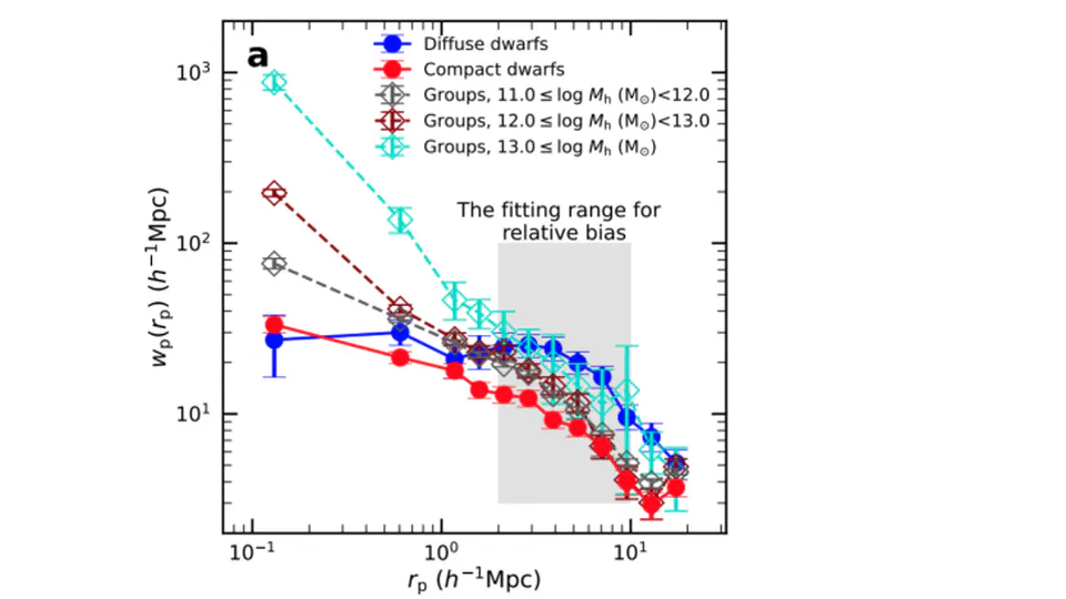 Unexpected clustering pattern in dwarf galaxies challenges formation models